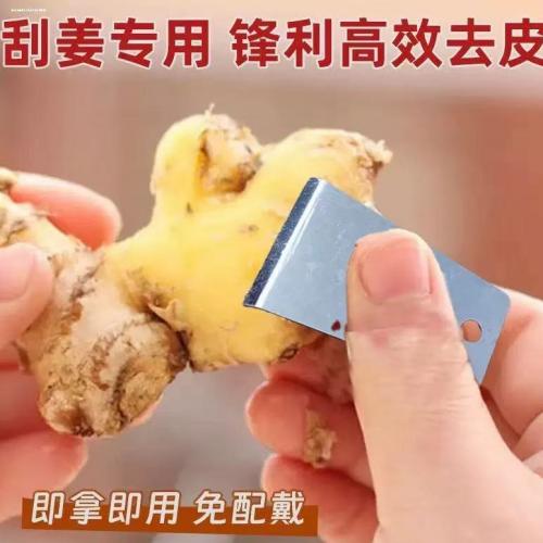 不锈钢厨房工具刨姜器迷你家用刮姜皮去皮器芋头刮皮器